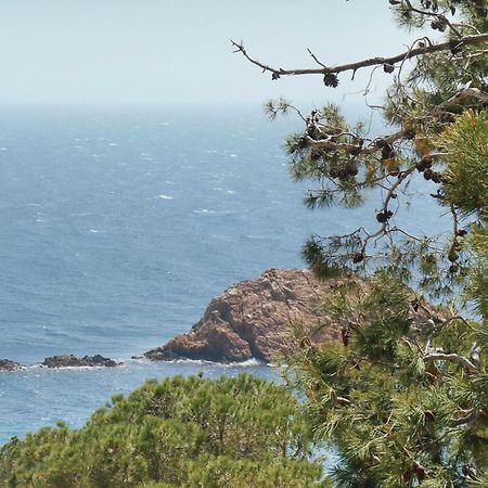 2 Bedroom Amazing Apartment In Tossa De Mar Extérieur photo